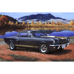 REVELL 1/24 SHELBY MUSTANG GT 350H