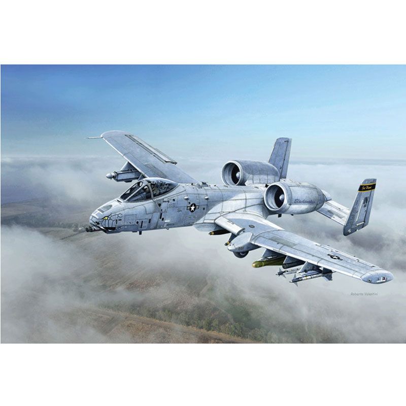 ITALERI 1/48 A-10C "BLACKSNAKES"