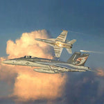 ITALERI 1/48 F/A 18 E SUPER HORNET