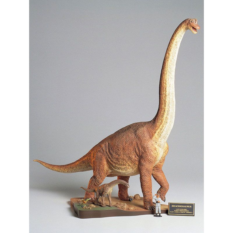 TAMIYA 1/35 BRACHIOSAURUS DIORAMA