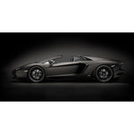 POCHER LAMBORGHINI AVENTADOR LP700-4 ROADSTER NERO NEMESIS