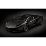 POCHER LAMBORGHINI AVENTADOR LP700-4 ROADSTER NERO NEMESIS