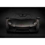 POCHER LAMBORGHINI AVENTADOR LP700-4 ROADSTER NERO NEMESIS