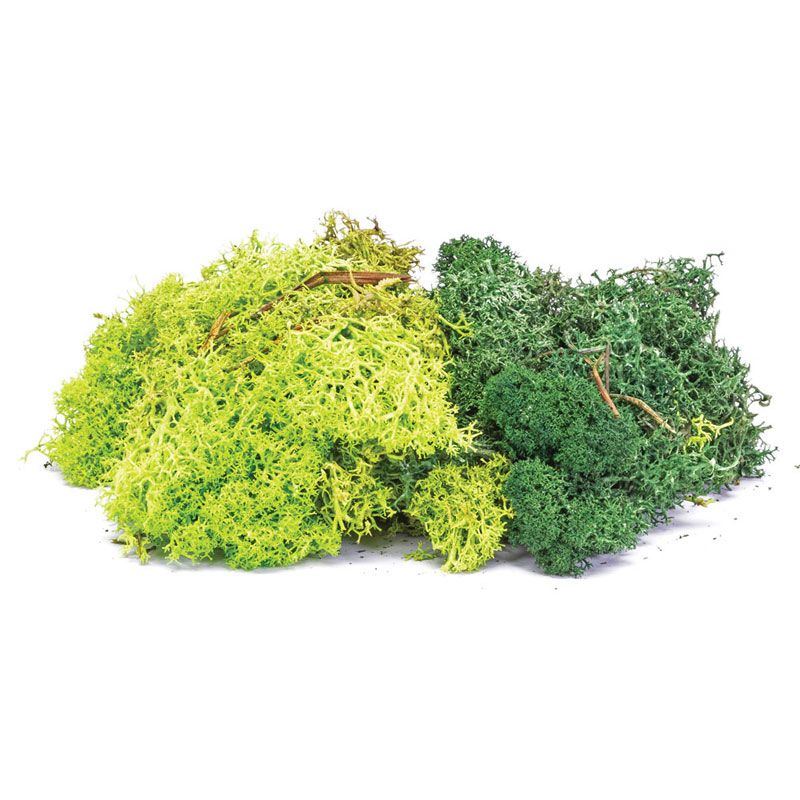 HORNBY LICHEN - GREEN MIX