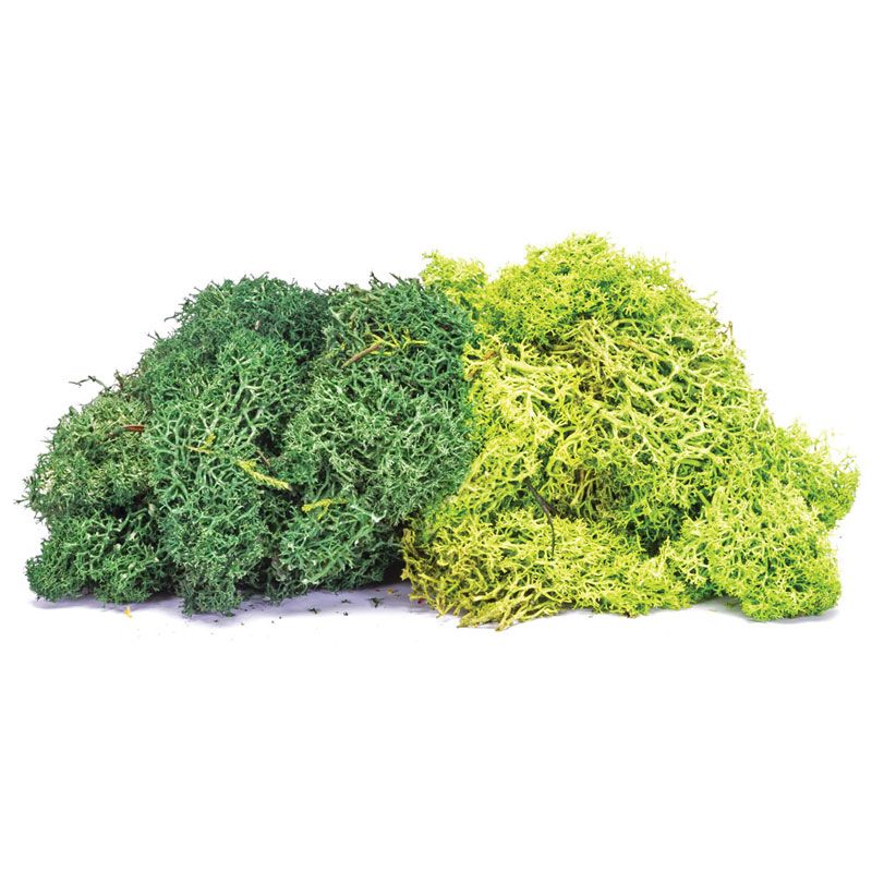 HORNBY LICHEN - LARGE GREEN MIX
